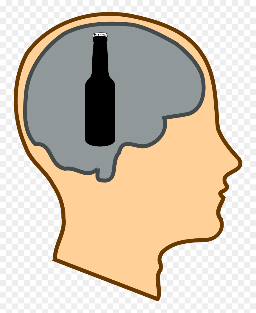 Brain Clip Art - Want To Forget Today, HD Png Download - dumb png