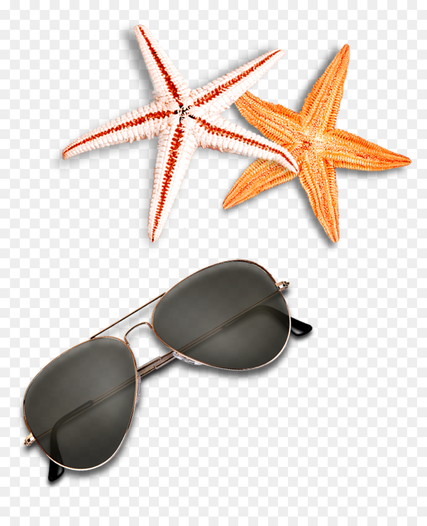 Beach Elements Sunglasses Starfish Free Clipart Hd - Png Clipart Beach Elements Png, Transparent Png - starfish silhouette png