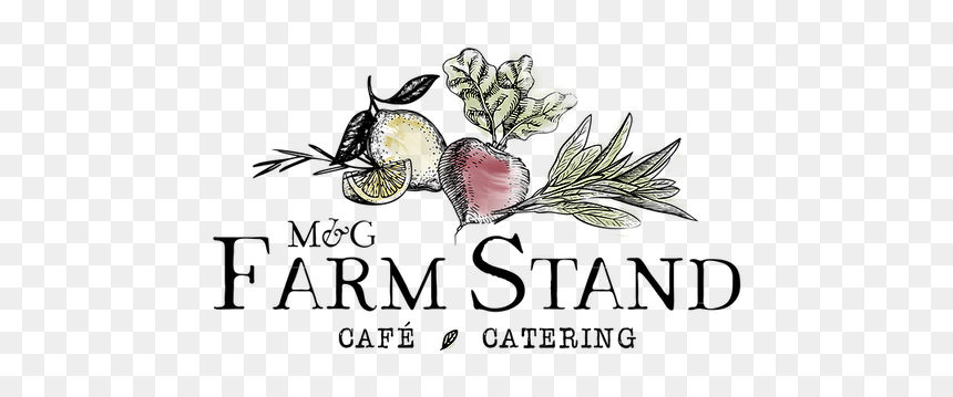 M&g Transparent Background - Illustration, HD Png Download - thanksgiving background png