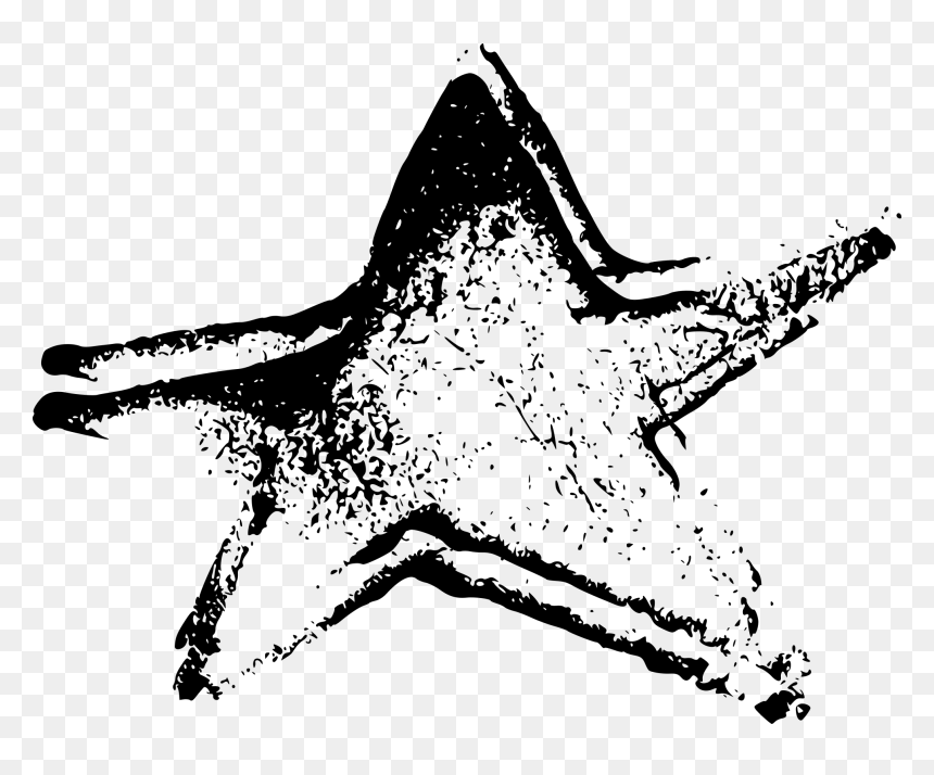 Illustration, HD Png Download - starfish silhouette png