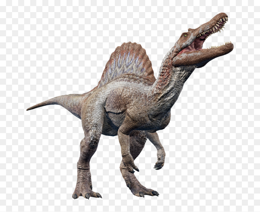   - Jurassic World Evolution Corythosaurus, HD Png Download - spinosaurus png