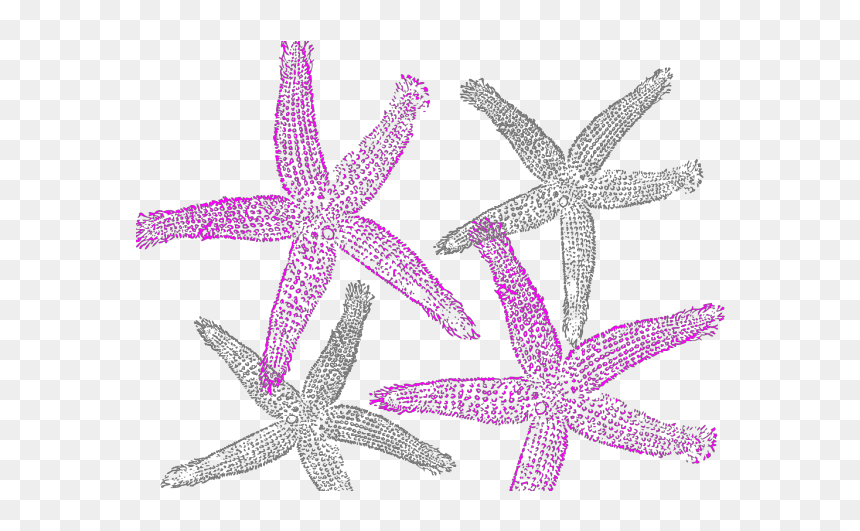 Starfish Prints Png Icons - Fish Clip Art, Transparent Png - starfish silhouette png