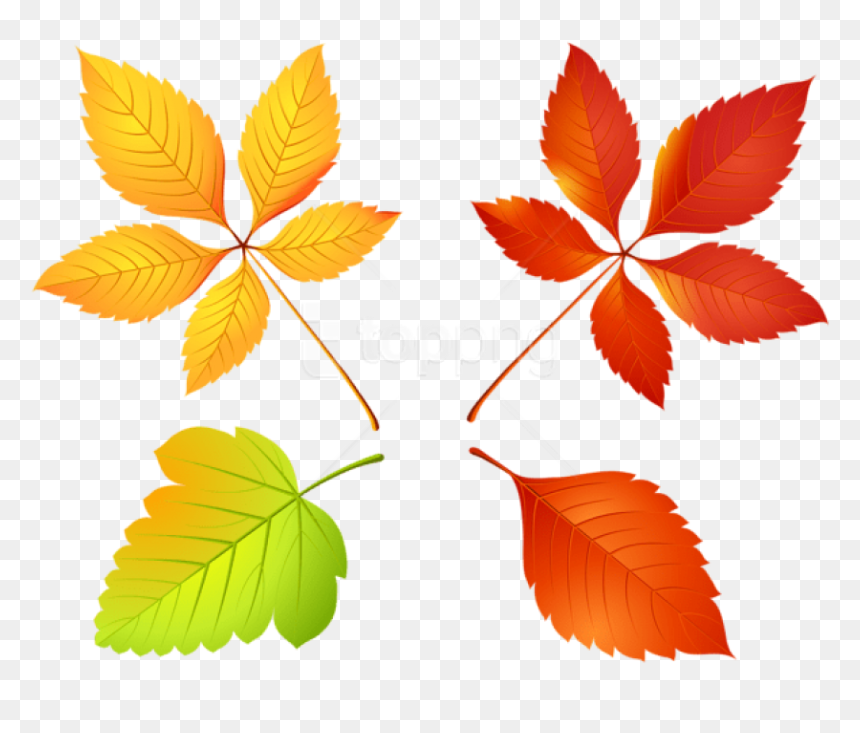 Free Png Download Autumn Leaves Set Clipart Png Photo - Лист Осень Пнг, Transparent Png - leaves clipart png