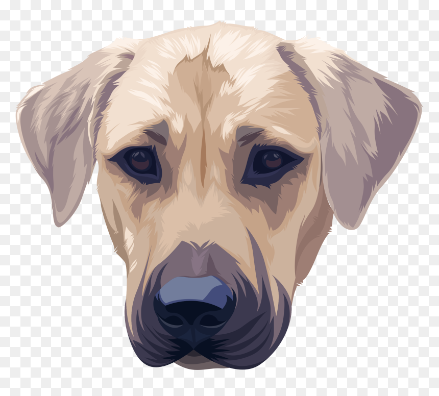 Puppy Leader - Companion Dog, HD Png Download - dog pooping png