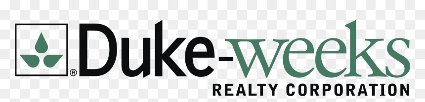 Graphic Design, HD Png Download - duke png