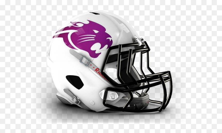 Woodlawn Colonels High School Birmingham, HD Png Download - panthers helmet png