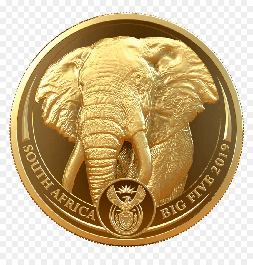 Ibsud191333 1 - South African Gold Coins, HD Png Download - elephants png