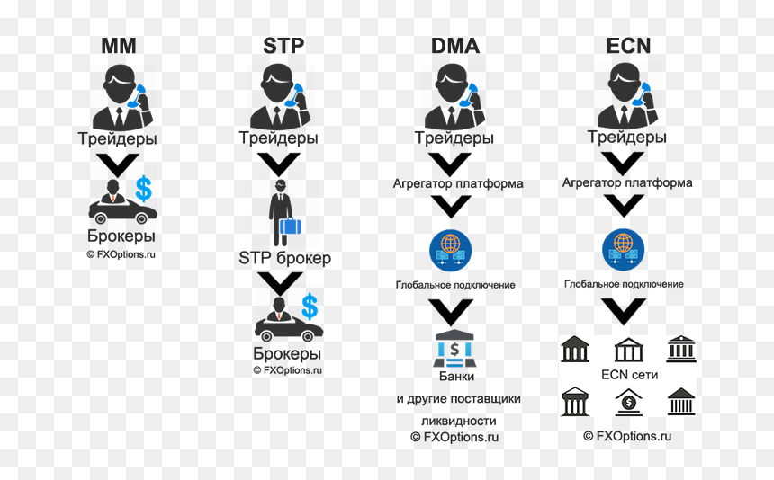 Stp For Mm, HD Png Download - stp logo png