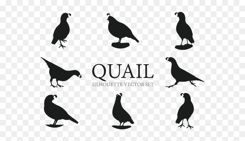 Quail Silhouettes, HD Png Download - turkey silhouette png