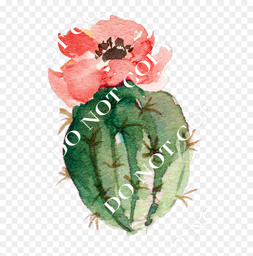 Watercolor Cactus Png , Png Download - Pinturas De Acuarelas Png, Transparent Png - watercolor cactus png