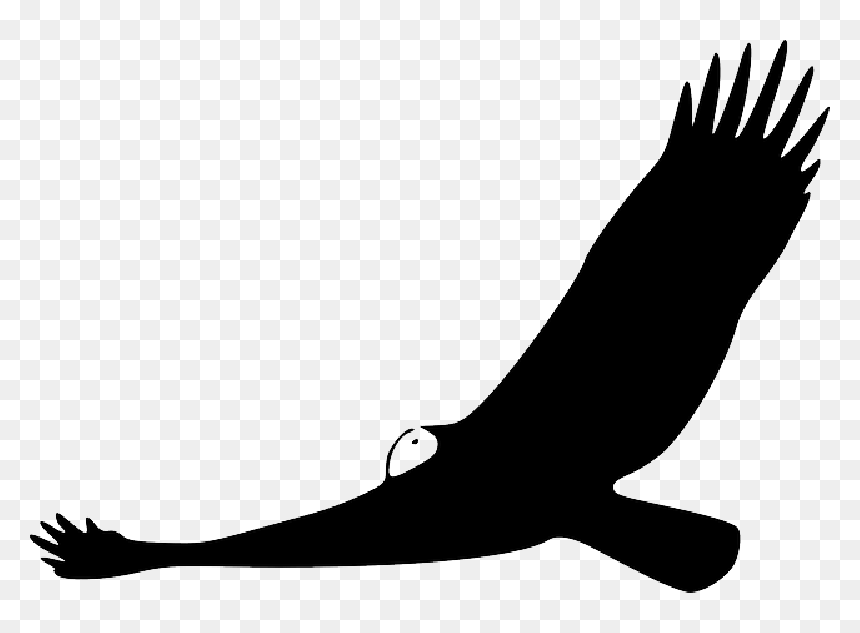 Animals, Turkey, Silhouette, Cartoon, Birds, Flying - Vulture Clip Art, HD Png Download - turkey silhouette png