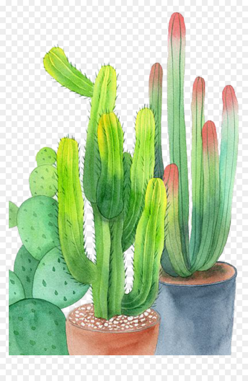 #ftestickers #watercolor #cactus #cacti #potted - Watercolor Cactus Cactus Png, Transparent Png - watercolor cactus png