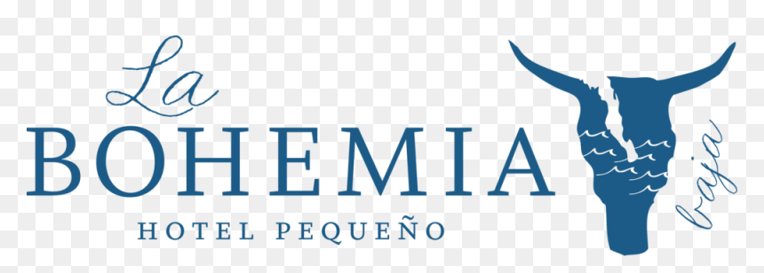 Bohemian Png , Png Download - Graphic Design, Transparent Png - bohemian png