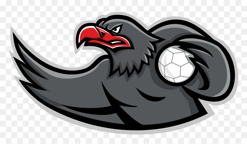 Mascot Icon Illustration Of Bust Of An Eagle Handball - Handball, HD Png Download - eagle icon png