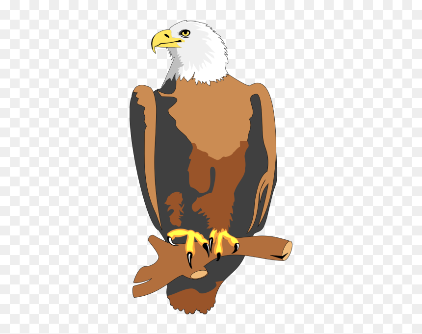 Eagle 19 Png Icons - 28 Nentori Art, Transparent Png - eagle icon png