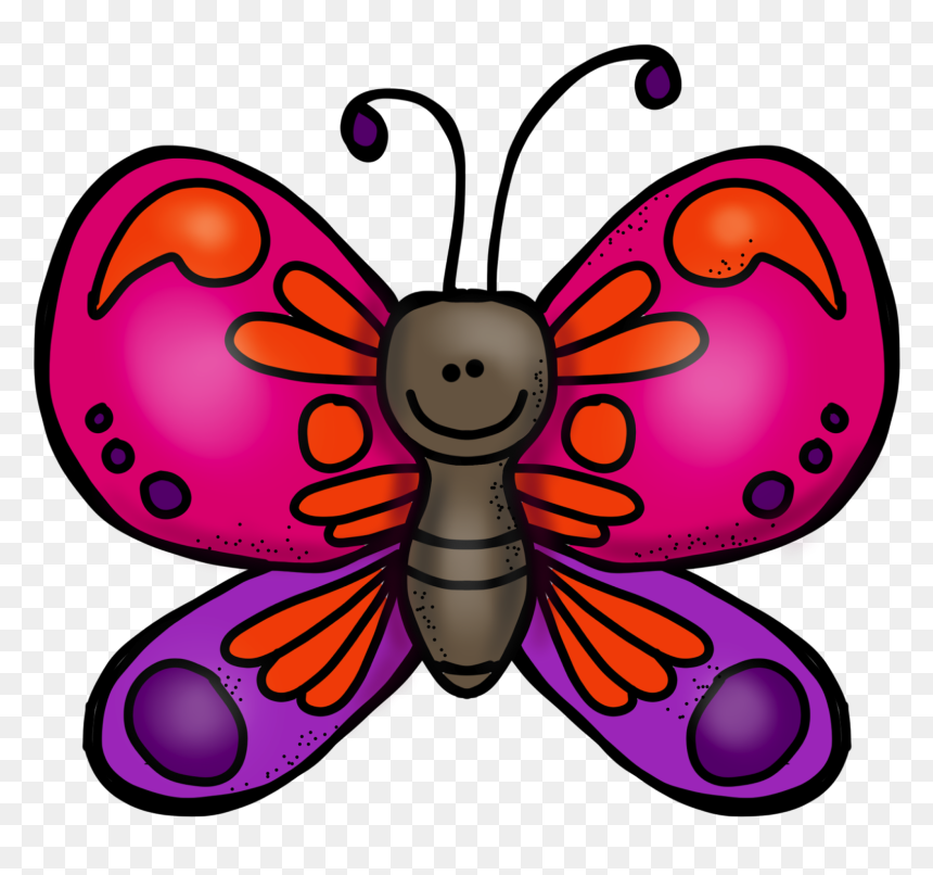 Transparent Big Sale Png - Teachers Pay Teachers Butterfly, Png Download - big sale png