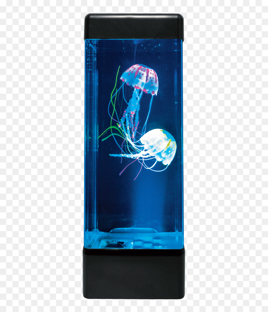 Jellyfish Aquarium, HD Png Download - jelly fish png