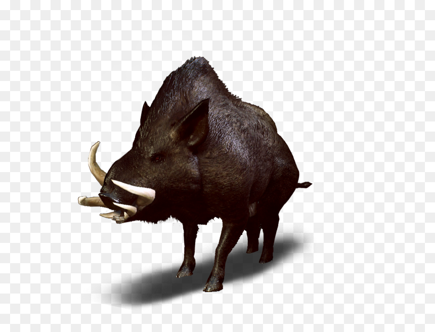 Witcher 3 Wild Boar , Png Download, Transparent Png - vhv