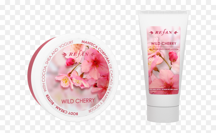 Cherry Blossom, HD Png Download - cherry blossom petal png