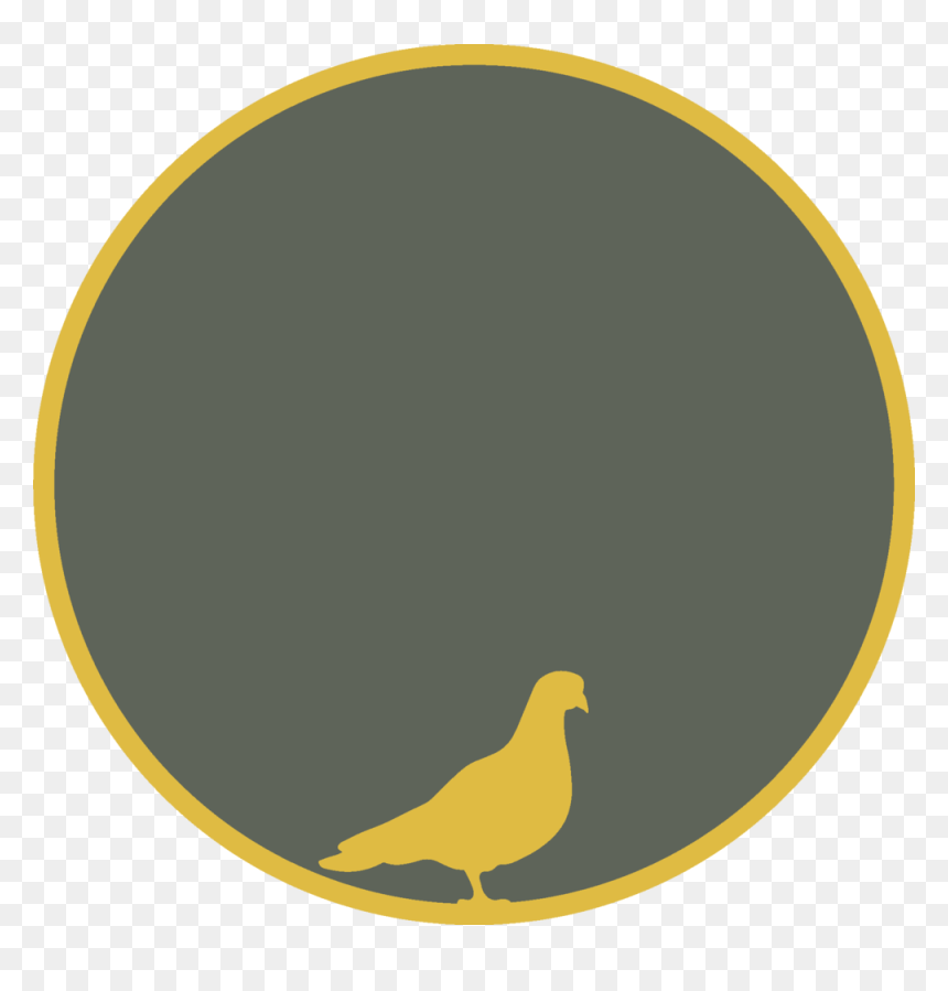 Michael Cera Png , Png Download - Tuneskit Spotify Converter, Transparent Png - michael cera png