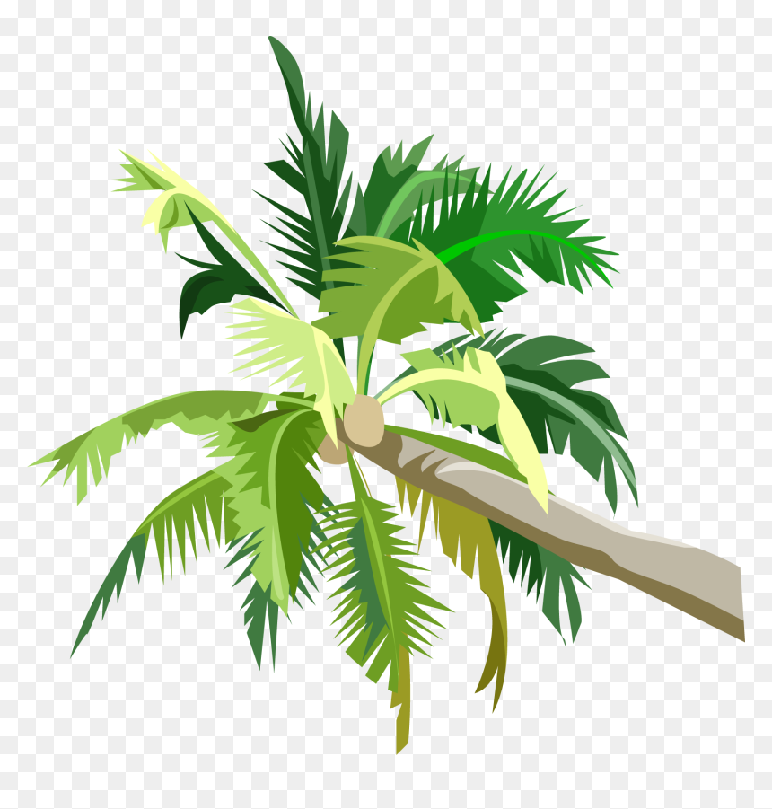 R 1232658842, Image V - Пальмы Png, Transparent Png - palmas png