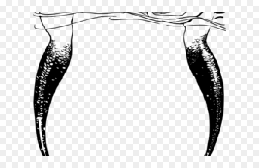 Mermaid Tail Clipart Public Domain - Public Domain Vintage Illustration Mermaid Vintage, HD Png Download - mermaid tail silhouette png