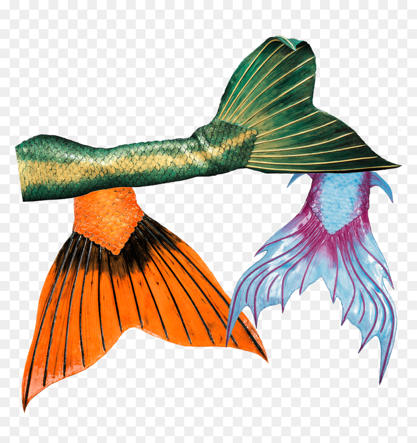 High Quality Silicone Mermaid Tails From Mermaid Kat - Mermaid Silikone Tails, HD Png Download - mermaid tail silhouette png