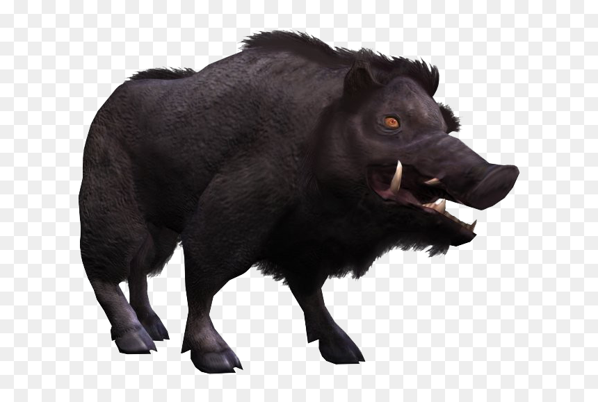 Wild Boar Png Images Transparent Background - Dog Licks, Png Download - boar png