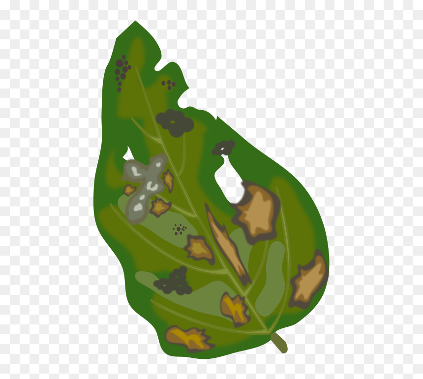 Leaf Spot Base - Plant Disease Clipart, HD Png Download - spot png