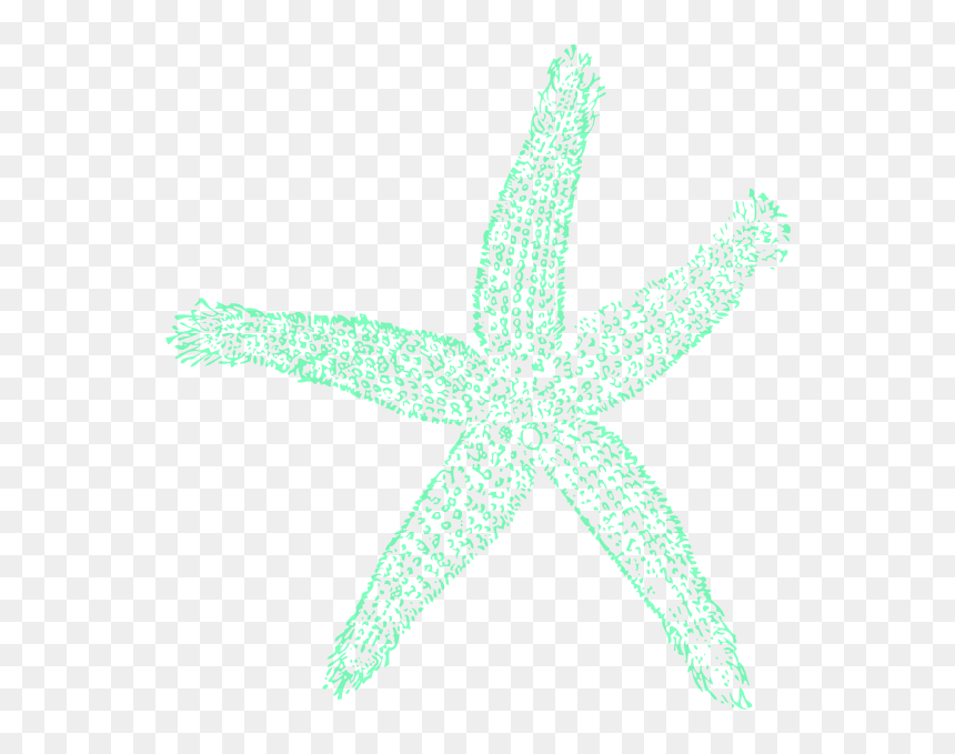 Starfish Clip Art Free, HD Png Download - mar png