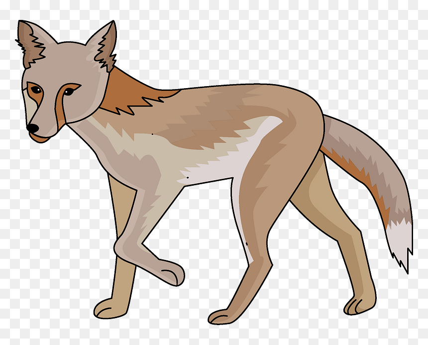 Jackal Clipart - Swift Fox, HD Png Download - jackal png