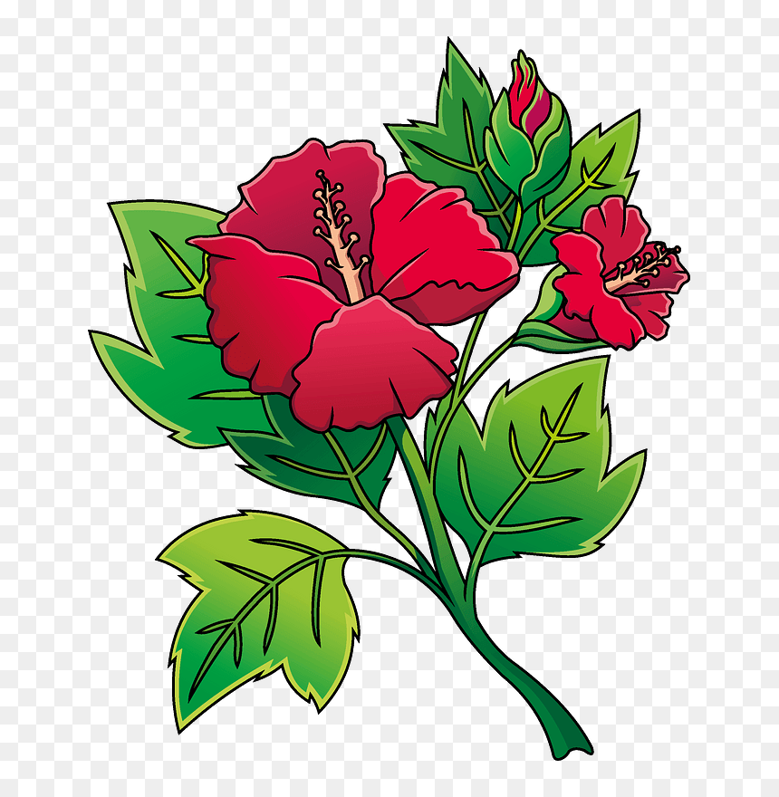 Hibiscus Clipart - Hawaiian Hibiscus, HD Png Download - hibiscus clipart png