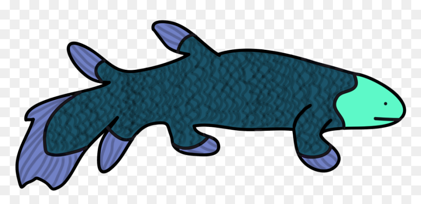 Amateurish Coelacanth - Shark, HD Png Download - howl's moving castle png