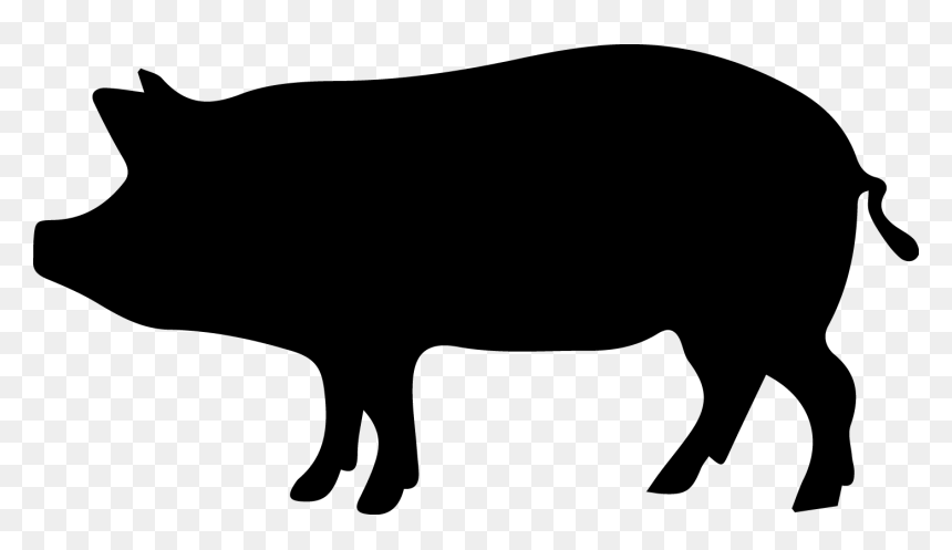 Wild Boar Clip Art - Porco Png, Transparent Png - boar png