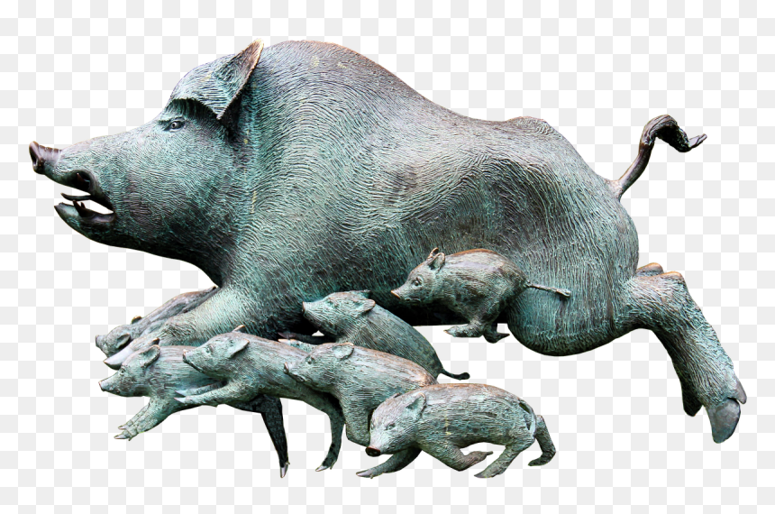 Wild Rotting Pig, Boar, Rotte, Pack, Little Pig - Wild Boar, HD Png Download - boar png