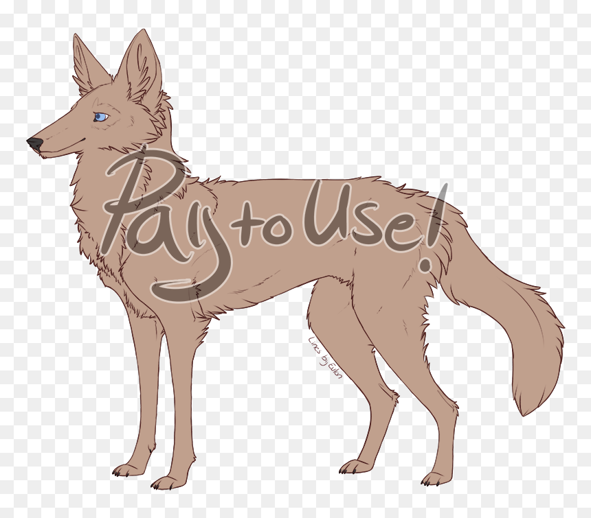 Black Backed Jackal - Kunming Wolfdog, HD Png Download - jackal png