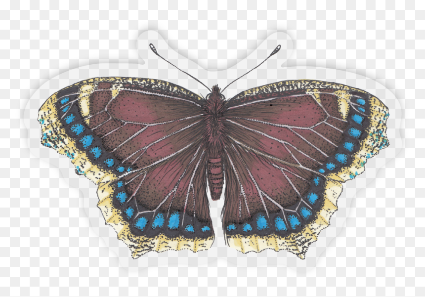 Mourning Cloak Sticker Outline, HD Png Download - butterfly outline png