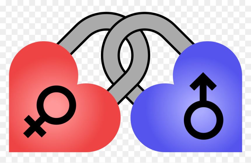 Heart Padlocks Female Male - Male And Female Heart, HD Png Download - male female symbols png