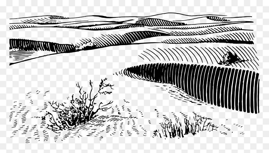 Sand Dunes Clip Arts - Desert Black And White, HD Png Download - sand dunes png
