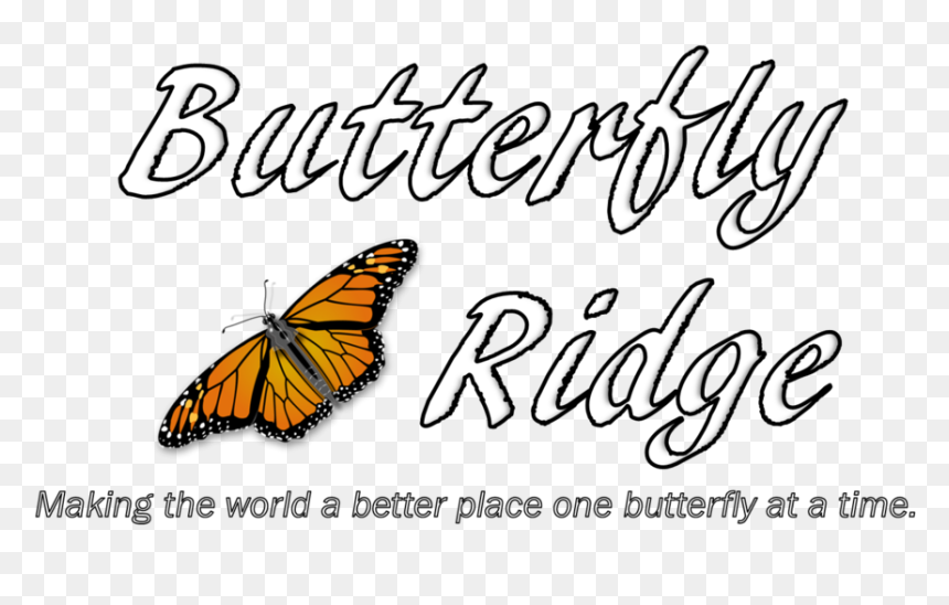 Butterfly Outline Png, Transparent Png - butterfly outline png