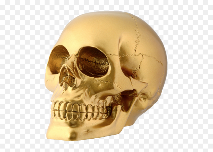 Thumb Image - Yaka Tomb Of Annihilation, HD Png Download - gold skull png