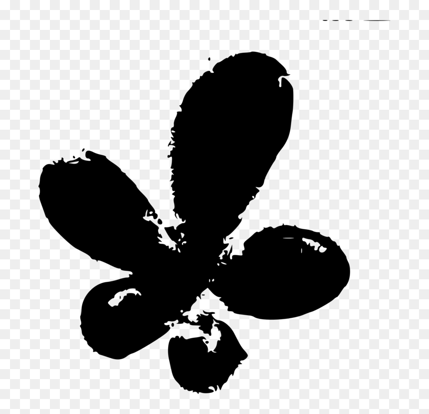 Photography - Clip Art, HD Png Download - butterfly outline png