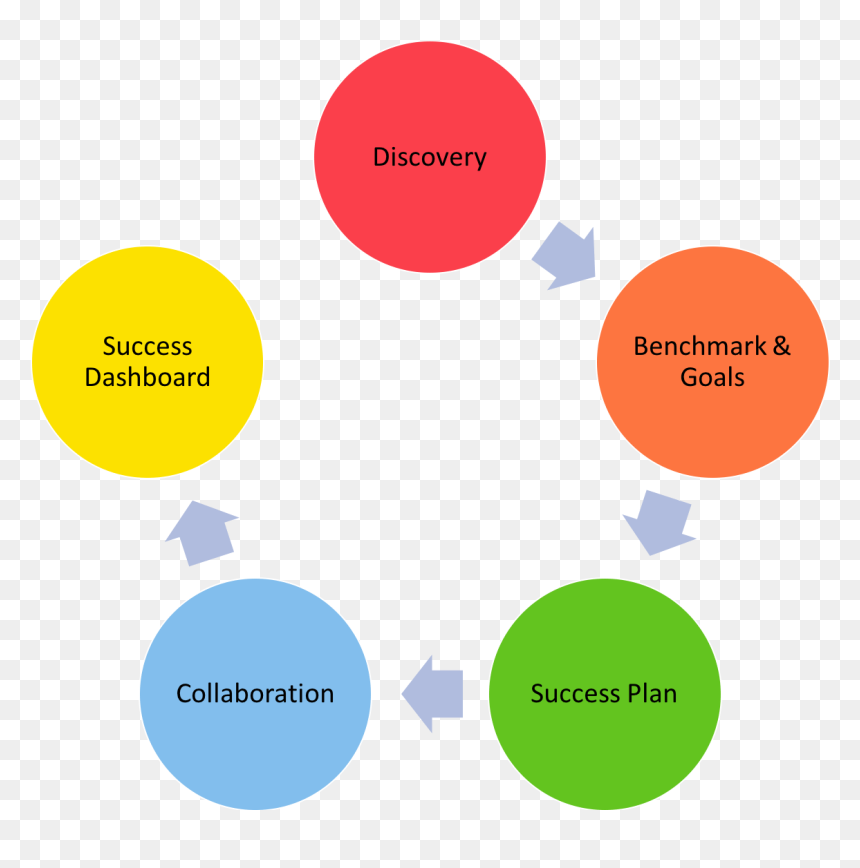 Life Cycle Of Tapeworm In Horses, HD Png Download - key to success png