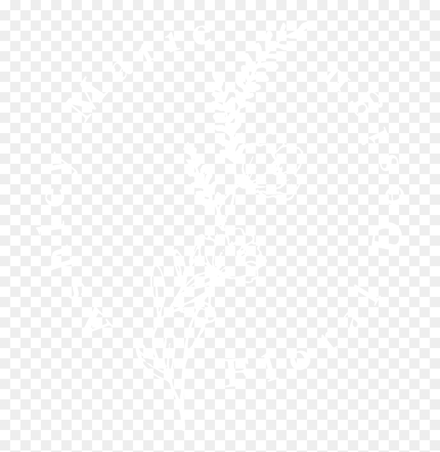 Banner - Johns Hopkins Logo White, HD Png Download - floral banner png