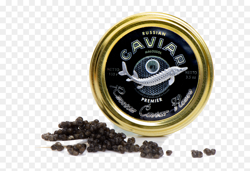 Premier Oscietra - Petrovaradin Fortress, HD Png Download - caviar png