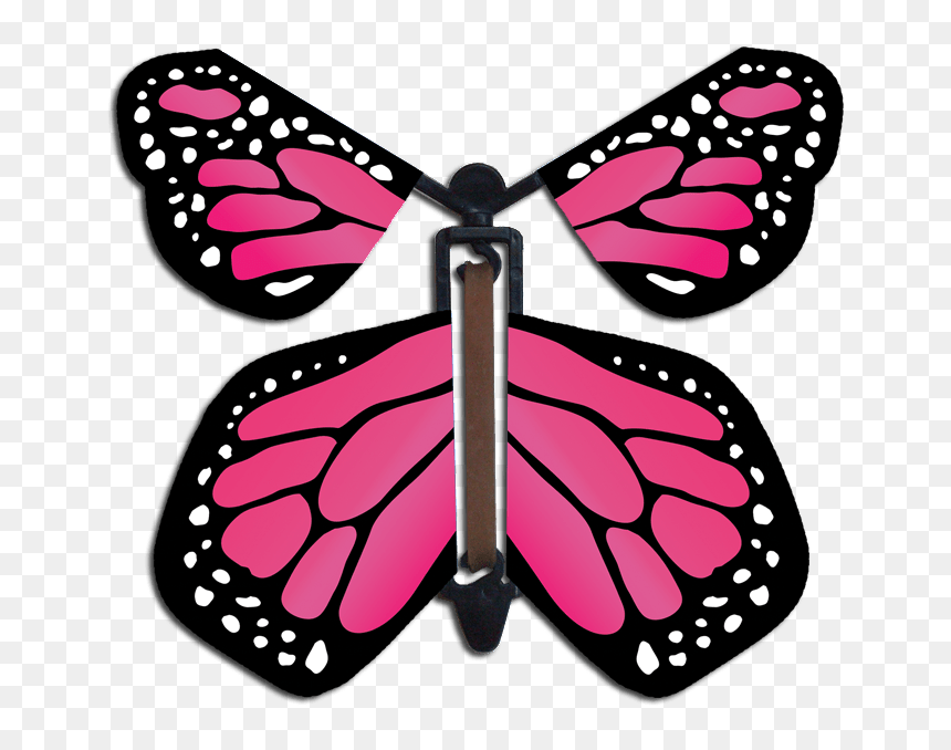 Flying Magic Butterfly Card, HD Png Download - flying paper png