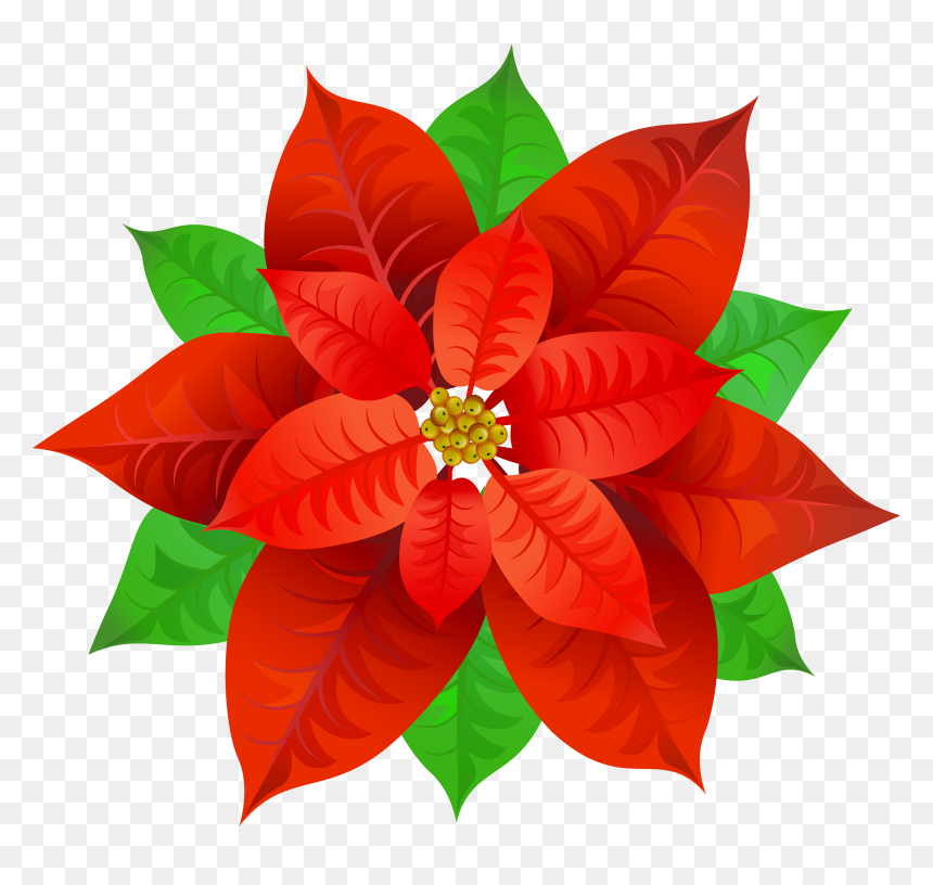 Poinsettias Clipart Gold, HD Png Download - christmas flower png