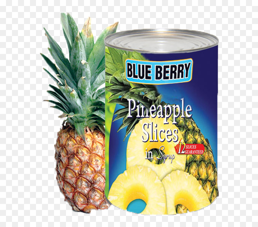 Ideal Home Range 16 Count Boston International 3-ply - Ananas Comosus Cross Section, HD Png Download - pineapple slice png