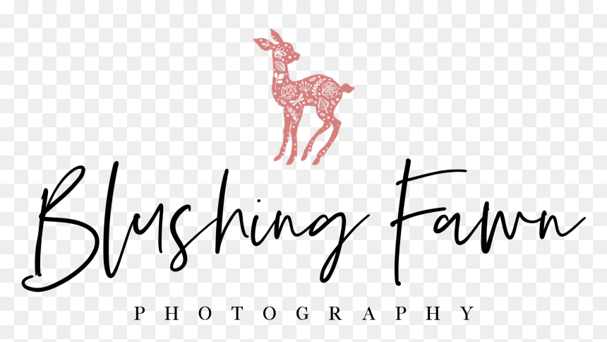 Blushing Fawn Photography - Calligraphy, HD Png Download - blushing png