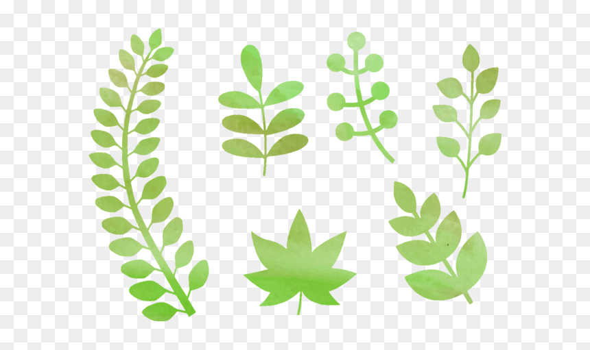 Free Watercolor Natural Elements Vector - Vectores Png Hojas Naturales, Transparent Png - plant vector png